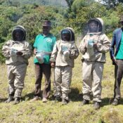 Farming and Bee Keeping